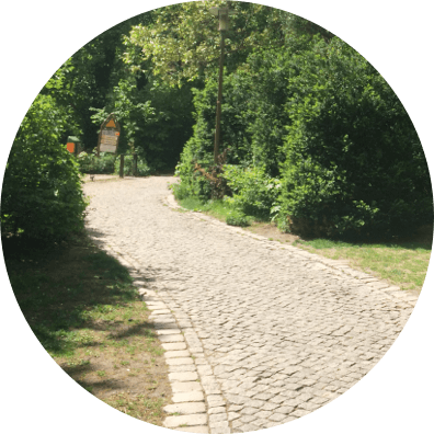 nelly-sachs-park-startseite@2x